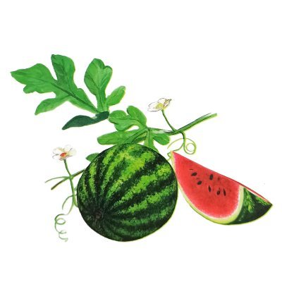 Pastèque