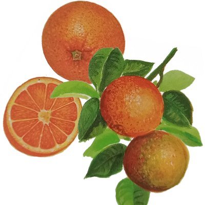 Orange douce
