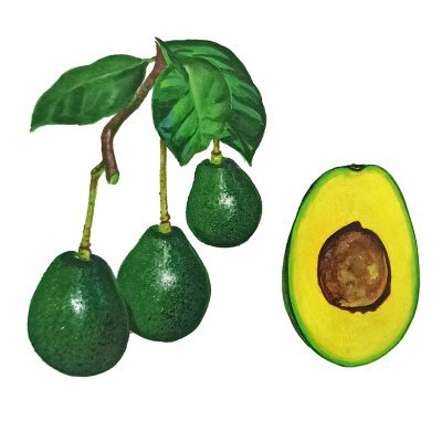 Avocat
