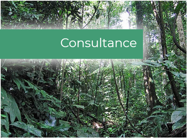 Consultance par Natural Pact